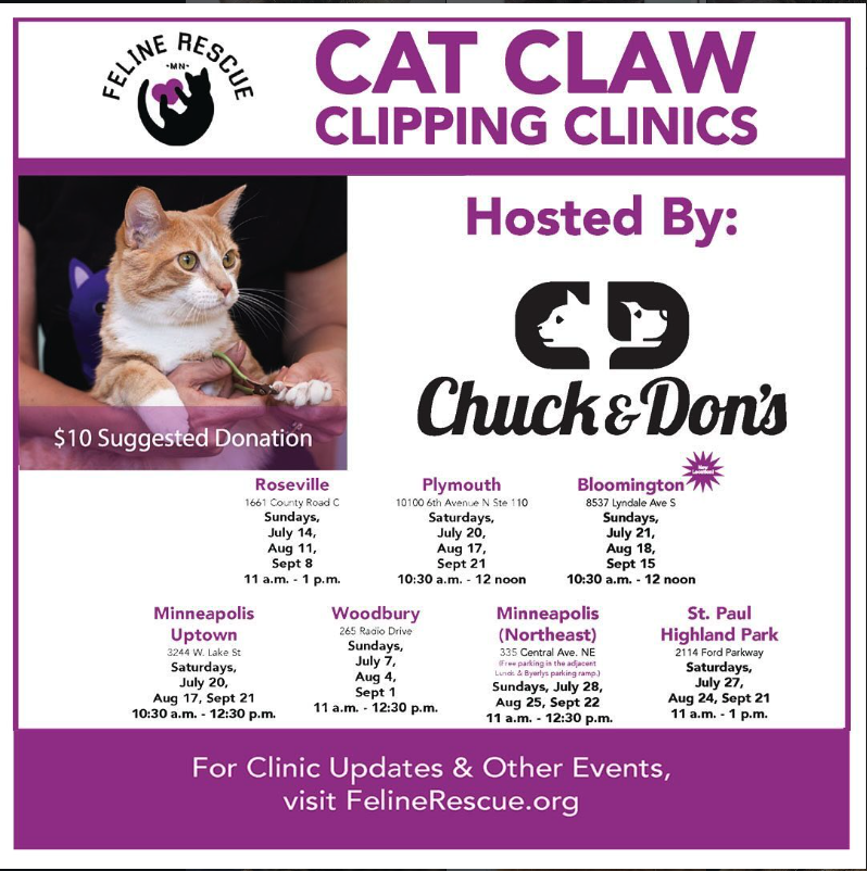 Mountains in the Clouds